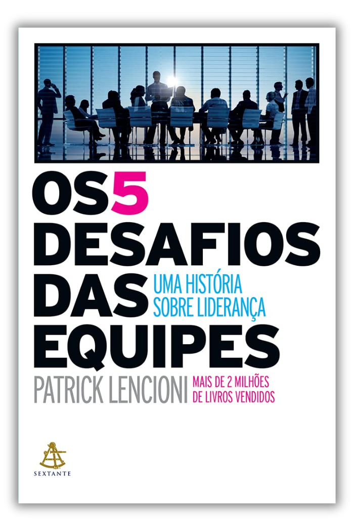 livros os 5 desafios das equipes
